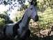 1992 Ford Explorer - A statue of a horse, painted in a pinto pattern, stands behind a wire fence in an outdoor setting.