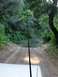 1992 Ford Explorer - A vehicle navigates a dirt road through a forest, with a puddle ahead.