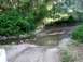 1992 Ford Explorer - A white vehicle's front corner is visible as it crosses a shallow stream on a dirt road surrounded by trees.