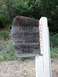 1992 Ford Explorer - A wooden sign indicates the entrance to the Santa Lucia Wilderness within the Los Padres National Forest.