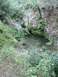 1992 Ford Explorer - A natural scene with a pool of water surrounded by dense vegetation, a watermark at the bottom right.