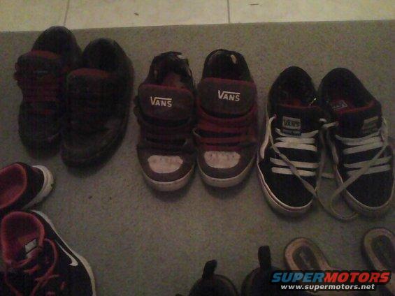 Several pairs of Vans sneakers lined up on a carpeted floor