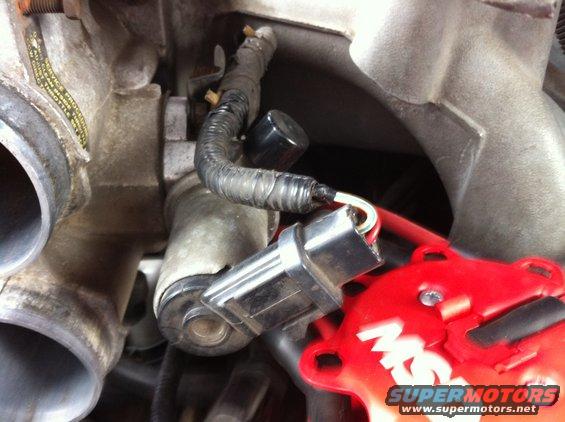 img_0686.jpg Unplug all of the sensors mounted to the throttle body. Shown is the IAC valve. There is also the TPS to unplug.