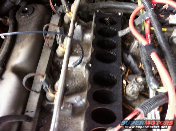 img_0696.jpg A look at the lower intake plenum and fuel rails. For me, getting to the fuel injectors was the reason the plenum came off.