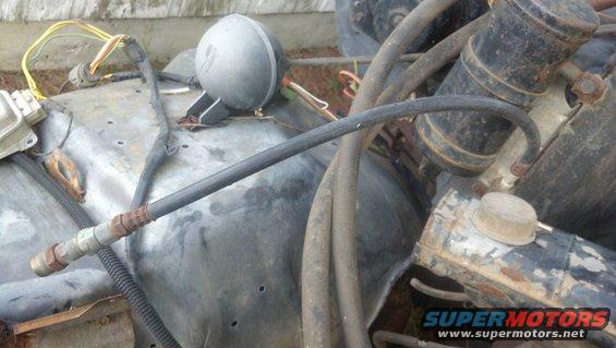 close-up of engine compartment with hoses, wires, and a round component