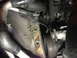 1996 Ford Probe - Close-up view of engine timing belt and pulleys.