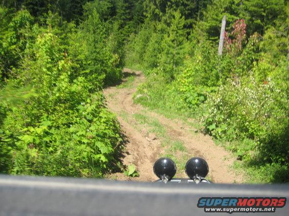 Off-road vehicle's dashboard view of a dirt track through a forest, with two black spotlights visible