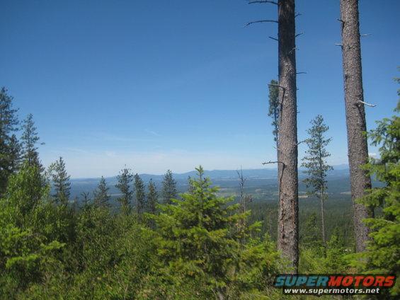 Mountain landscape with pine trees and a clear blue sky. Watermark reads SUPERMOTORS