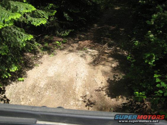 Dirt road through trees, seen from a vehicle's perspective