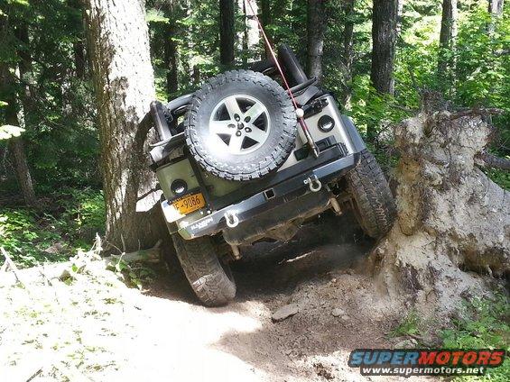 Rear view of a silver Jeep Wrangler tilted on a dirt trail next to a tree