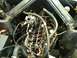 1963 Ford Ranchero - Getting a new Valve cover gasket