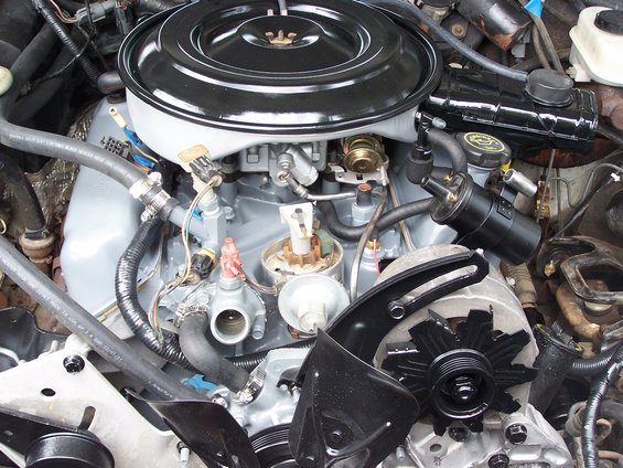 Engine bay with a black air cleaner, distributor, and alternator