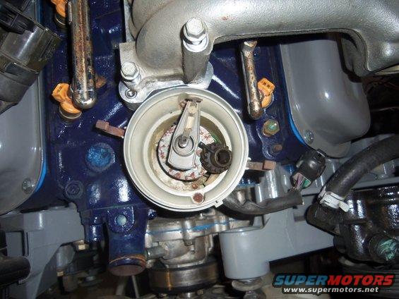 Close-up of an engine's distributor cap and rotor, with fuel injectors visible