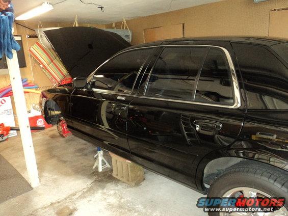 dsc02073.jpg 7 stands