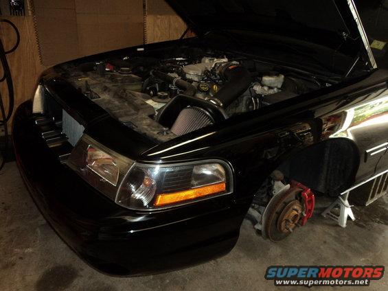 dsc02074.jpg 8 stands