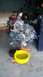 1994 Ford Bronco - Engine removed from vehicle and placed on an engine stand for service. Oil is being drained into pans.