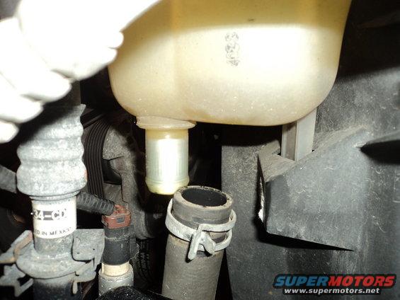 21-radiator-degas-lower-hose-removed.jpg 