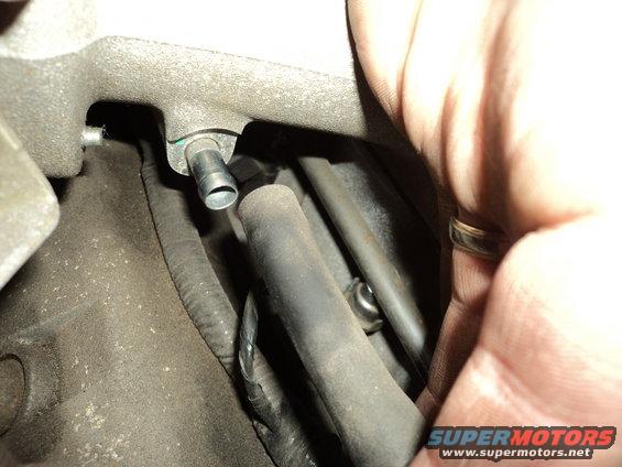 58-fuel-vapor-hose-disconnected.jpg 