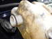 1986 Chrysler Fifth Avenue - Did I lather the nut and exposed bolt threads in anti-seize ? You betcha ! That overflow tank's nut will never spin on me again ! Why is th…
