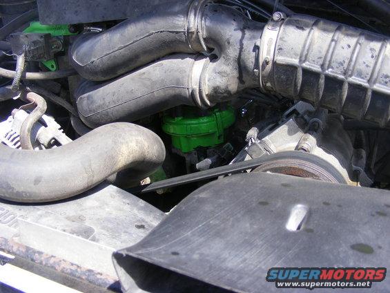 Engine bay with large hoses and a bright green filter housing