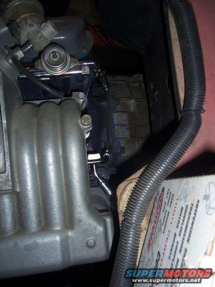 100_1069.jpg 