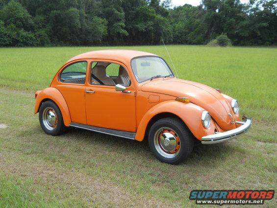 Orange Volkswagen Beetle parked in a grassy field