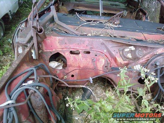 rusted engine bay of a car, overgrown with weeds