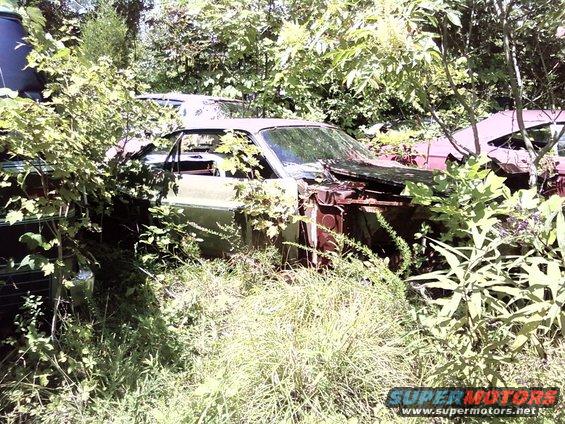 1974 Dodge Challenger in overgrown junkyard, front quarter view