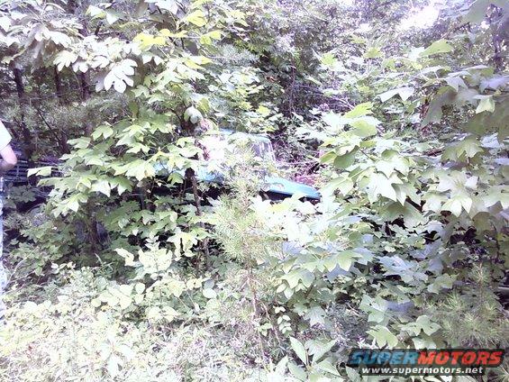 Partially obscured green vehicle in dense foliage, with 'SUPER MOTORS' watermark at bottom right