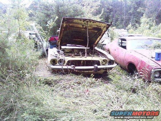 Two old muscle cars, one yellow with hood open, the other pink, sitting in a junkyard with overgrown grass