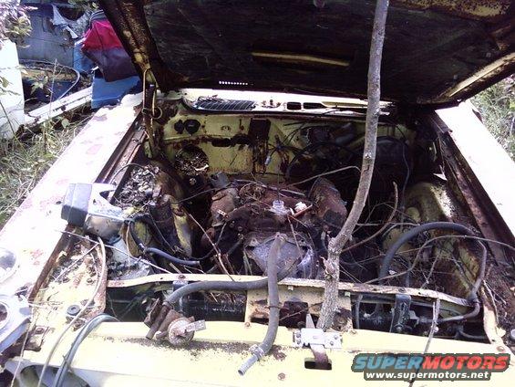 Yellow car engine bay with extensive rust and debris, hood open, tree branch growing through