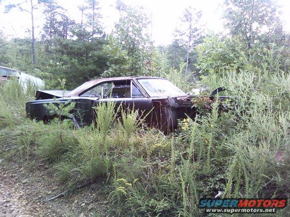 Abandoned dark coupe, 3/4 front view, overgrown with weeds. Likely a 1970 model