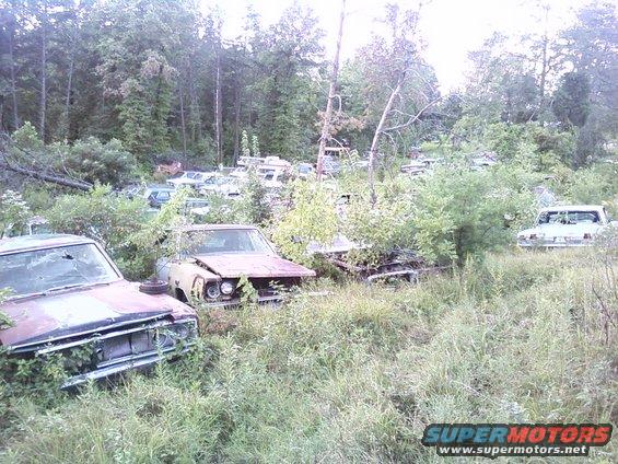 Two rusty cars in a junkyard, one with a damaged grille and hood, the other partially obscured by weeds