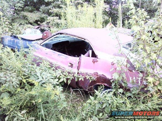 Abandoned car with rust and overgrown vegetation, showing a pinkish-red body and blue front fender