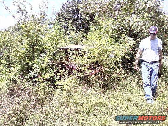 Overgrown car in brush, side view
