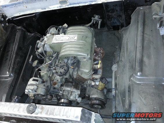 Engine with "5.0 HO" intake manifold in engine bay, aluminum radiator visible