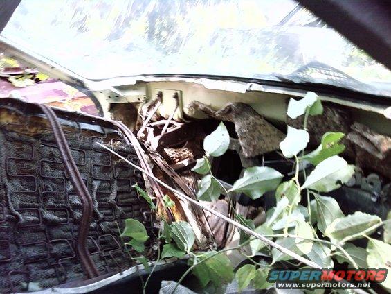 Interior of a dilapidated car with exposed springs on the driver's seat and debris on the dashboard