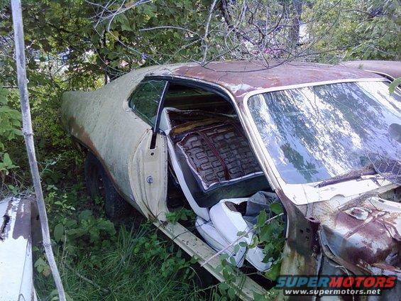 beat-up muscle car sitting in weeds, driver's door open, interior visible