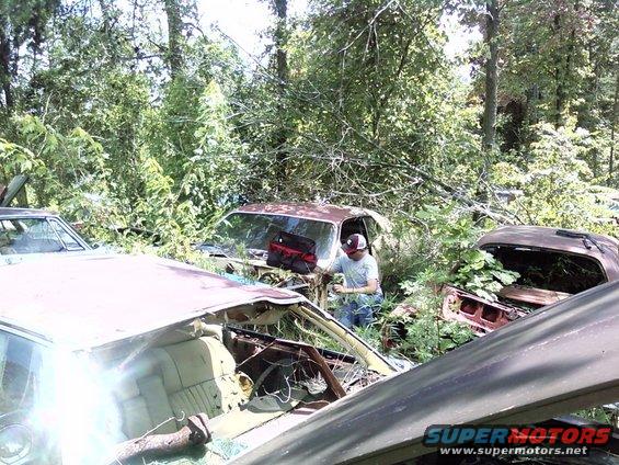 junkyard with several old cars overgrown with trees and bushes, one person is visible near a car