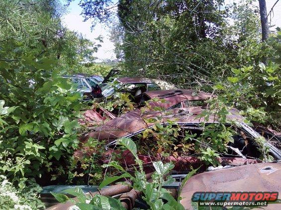Overgrown rusty car in a junkyard