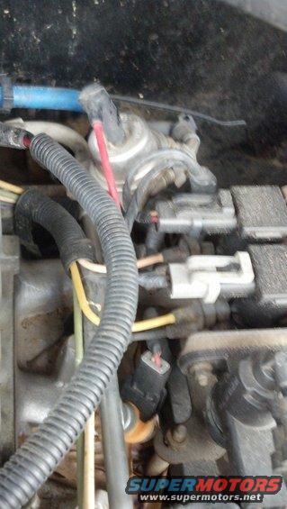 Engine bay wiring and connectors