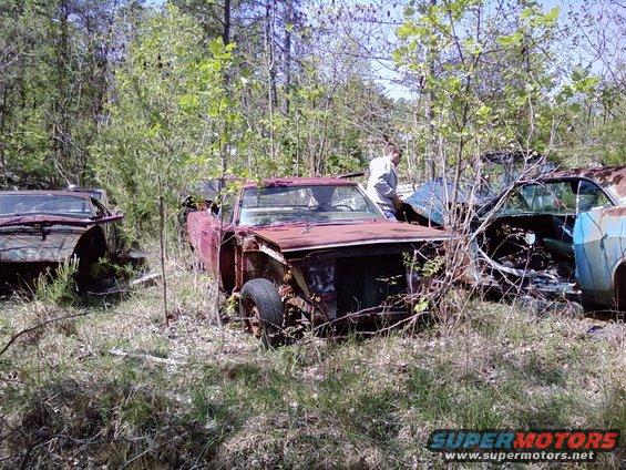 several old, rusty cars sit in a wooded area, one with a person standing next to it