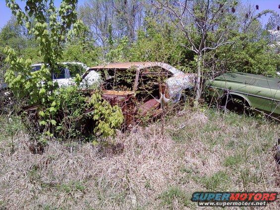 Two old cars, one rusty and overgrown, the other green, sit in a field with tall grass and trees