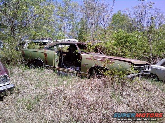 Green 1970 muscle car, side view, overgrown in junkyard