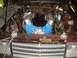 1984 Ford LTD photo