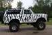 1979 Ford Bronco photo