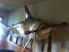 2006 Ford E350 - A mounted hammerhead shark head is displayed on a wall above framed pictures.