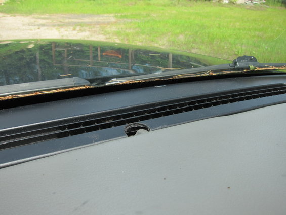 picture-135.jpg 