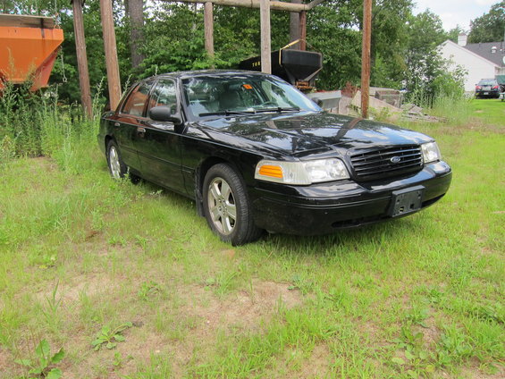 picture-205.jpg 