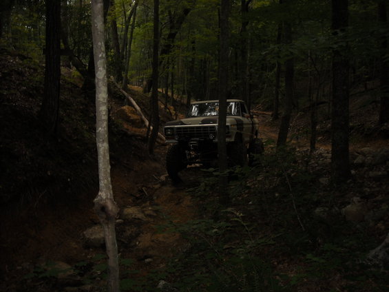 1979 Ford F-150 on wooded trail